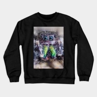 Little Hairy Face. Jumping Spider Macro Photograph Crewneck Sweatshirt